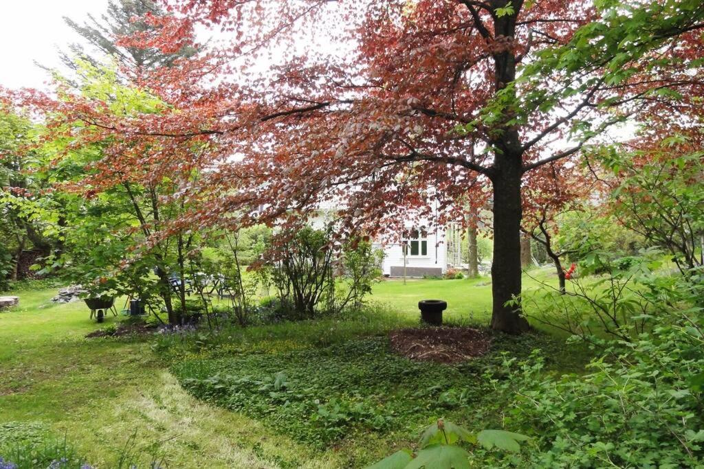 Charming Flat In Cosy Farmhouse Skudeneshavn Exterior foto